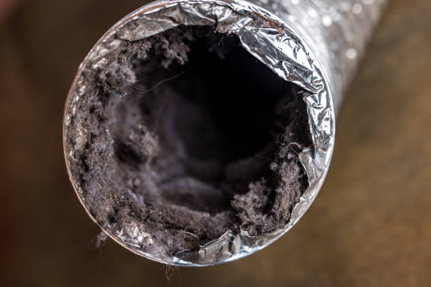 Air Duct Mold Removal in Pine Island, TX