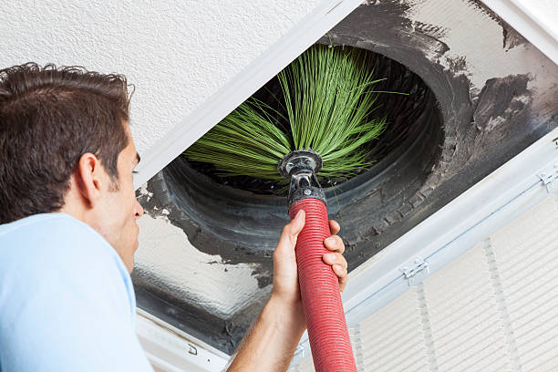 Best Affordable Duct Cleaning Services  in Pine Island, TX
